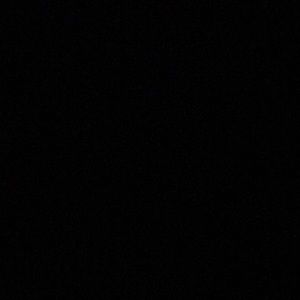 Meet your Posher, Georgie